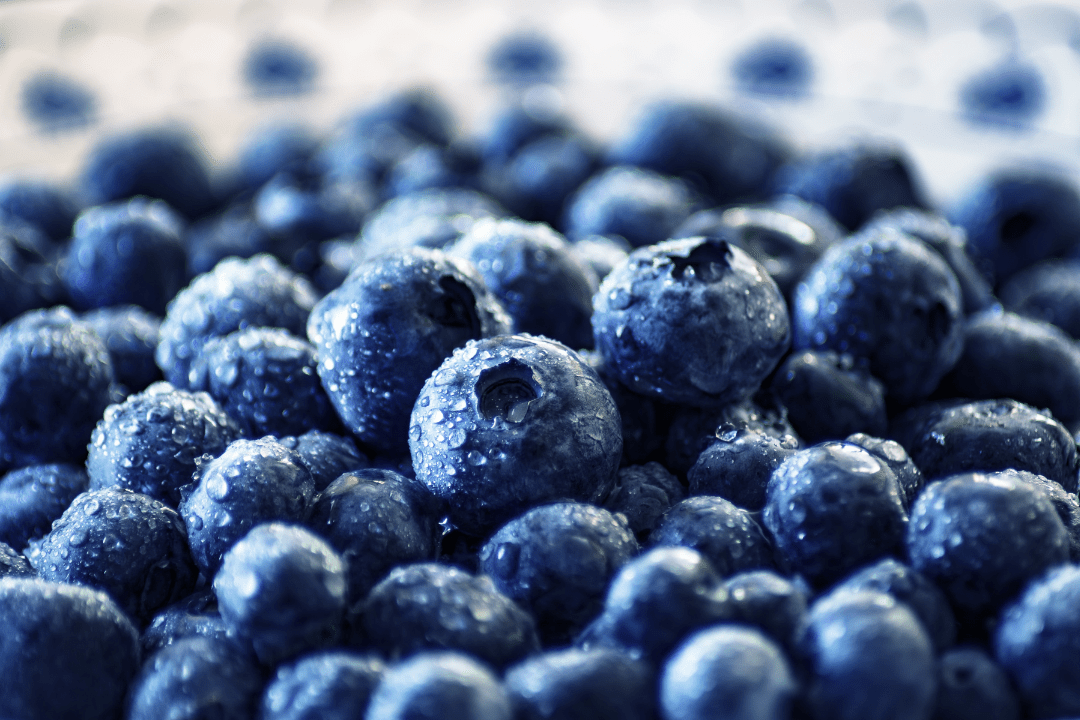 Blueberry Bliss: Brilliant Recipes from Our Glow Talkers